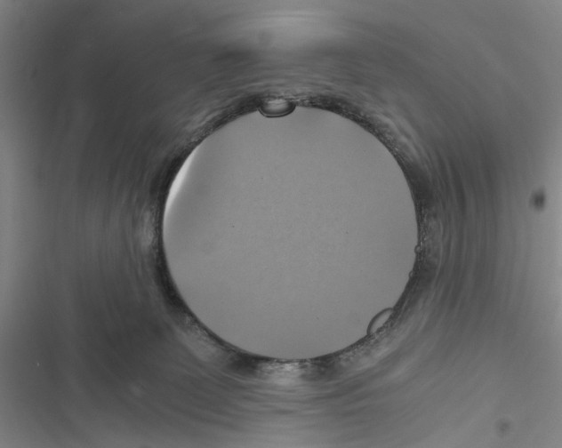 X0000116800131201001151131