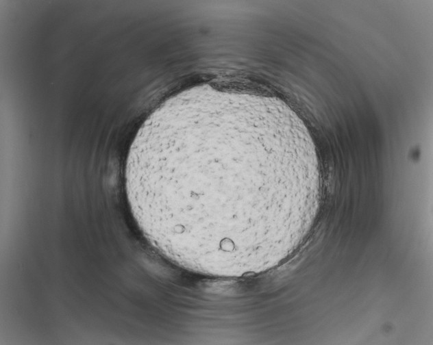 X0000116800132201001151131