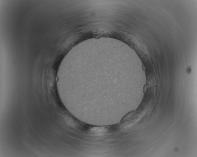 X0000116800133201001151131