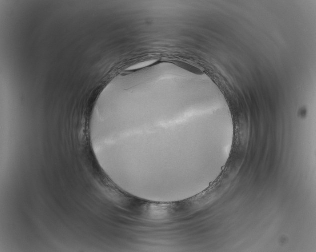 X0000116800134201001151131