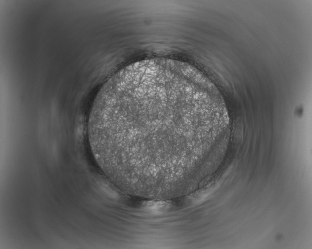 X0000116800135201001151131