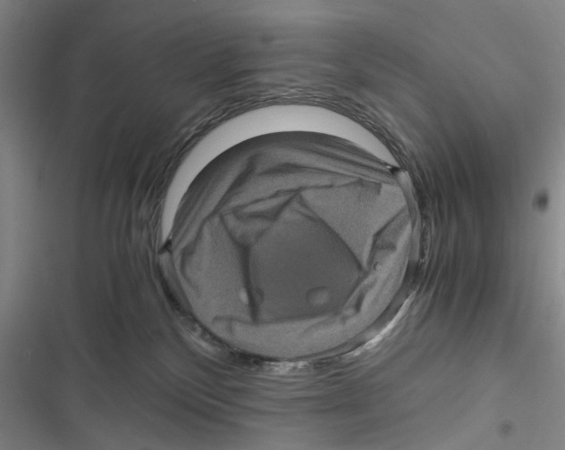 X0000116800136201001151131