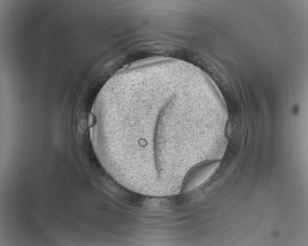 X0000116800137201001151131