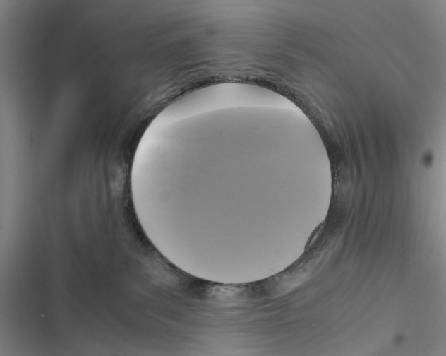 X0000116800139201001151131