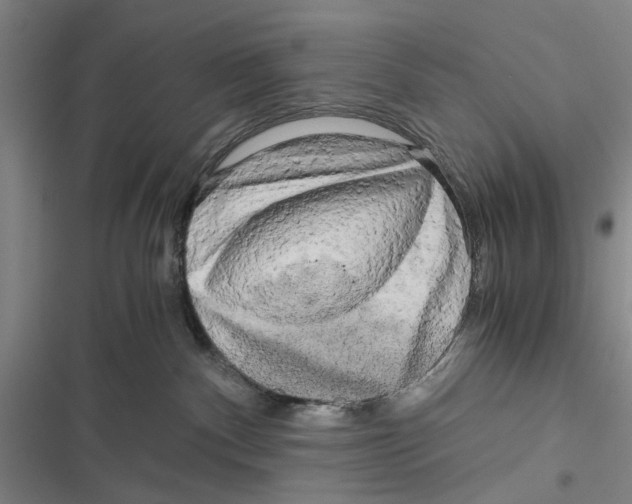 X0000116800140201001151130