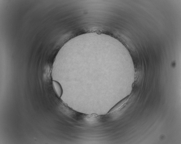X0000116800142201001151130
