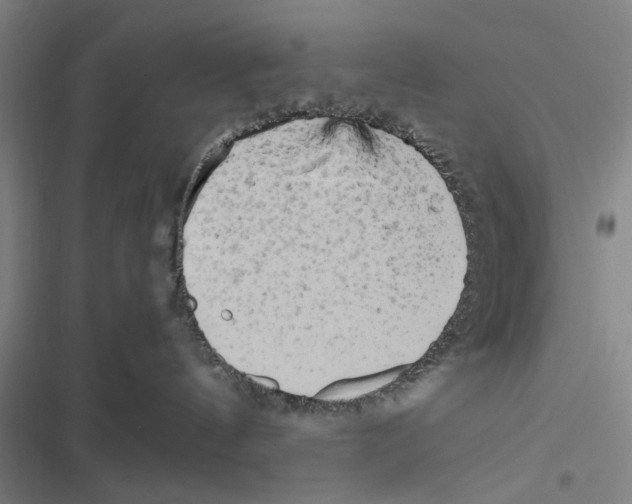 X0000116800144201001151130