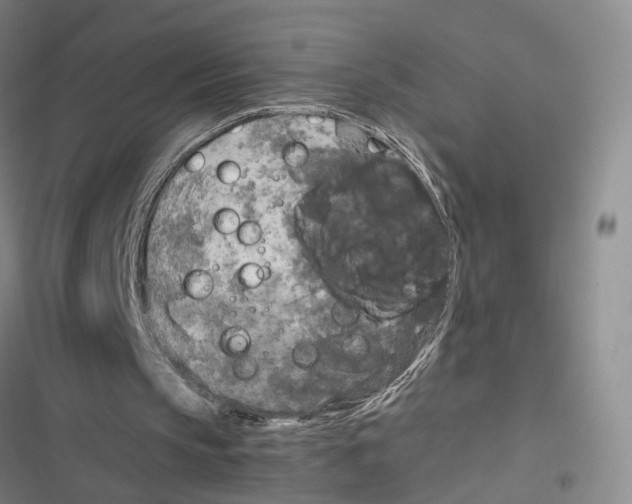 X0000116800145201001151130