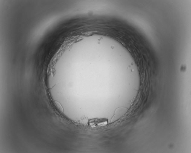 X0000116800146201001151130