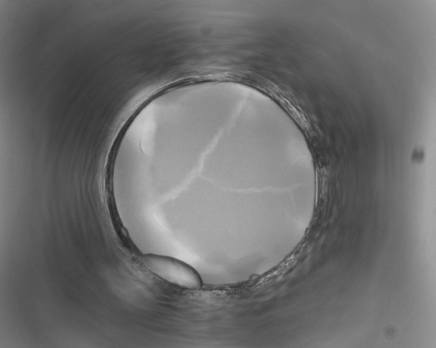 X0000116800147201001151130