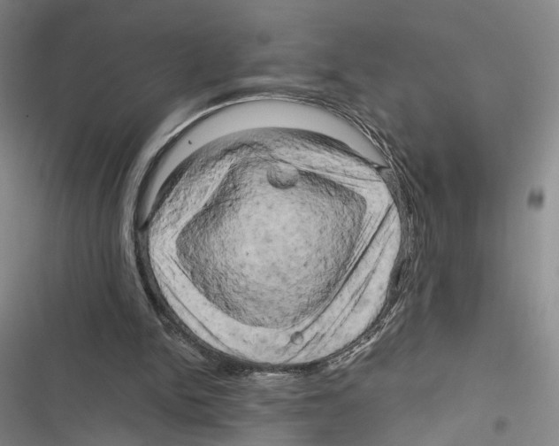 X0000116800150201001151130