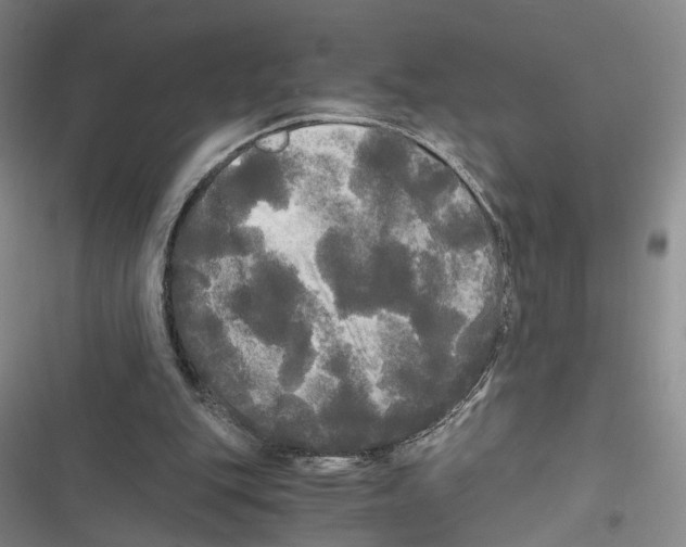 X0000116800151201001151130