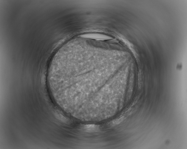 X0000116800153201001151130