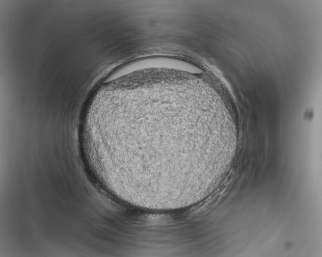 X0000116800154201001151130