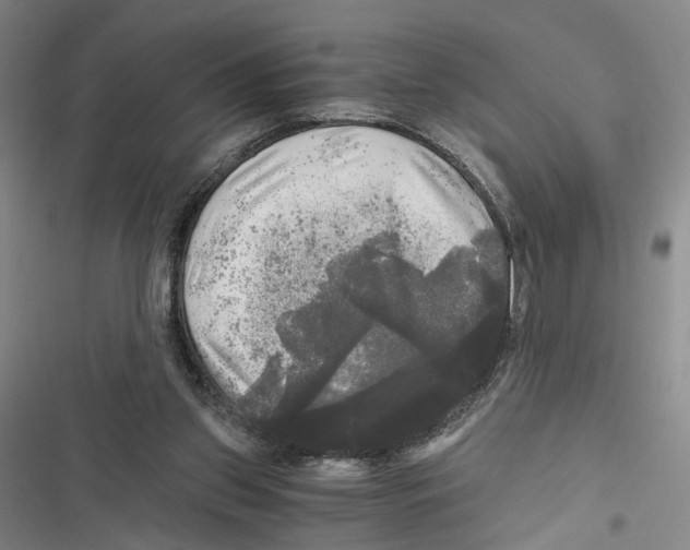 X0000116800157201001151130