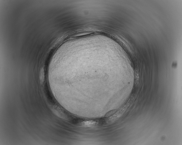 X0000116800158201001151130