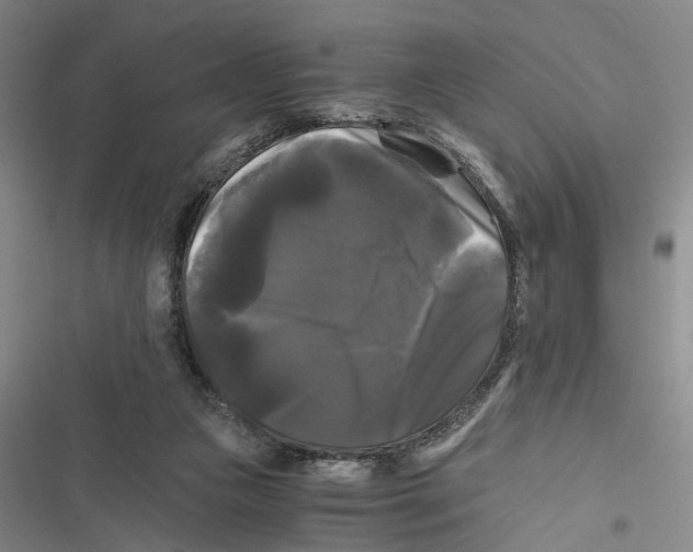 X0000116800161201001151130