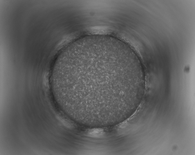 X0000116800162201001151130