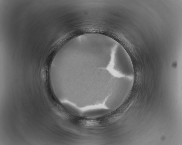 X0000116800165201001151130