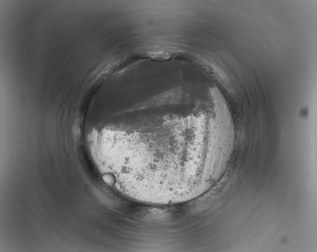X0000116800166201001151130