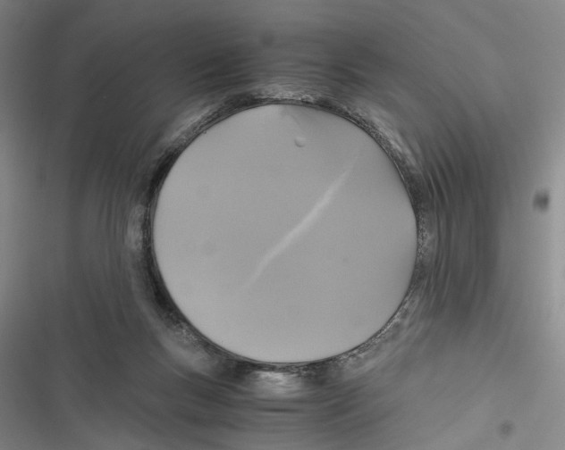 X0000116800167201001151130