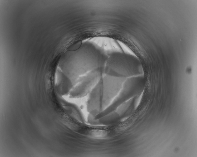 X0000116800169201001151130