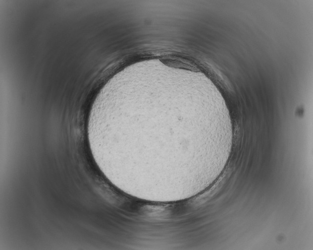 X0000116800170201001151130