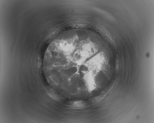 X0000116800173201001151130