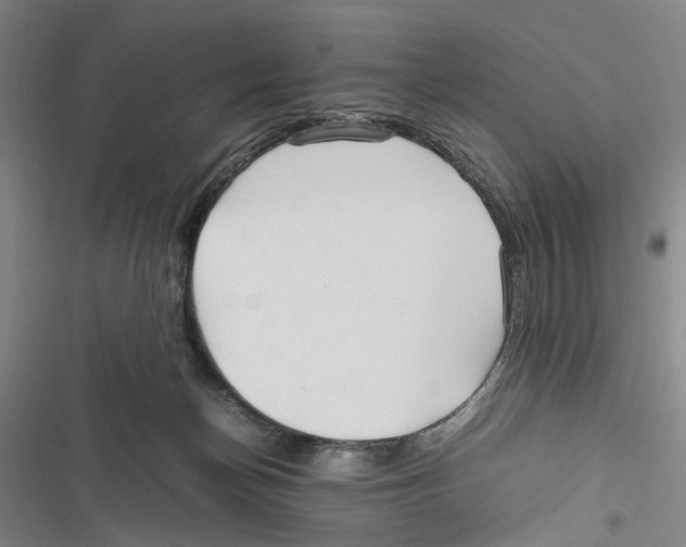 X0000116800174201001151130