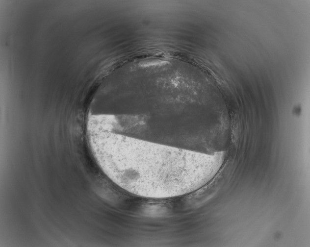 X0000116800175201001151130