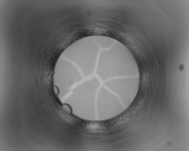 X0000116800177201001151130