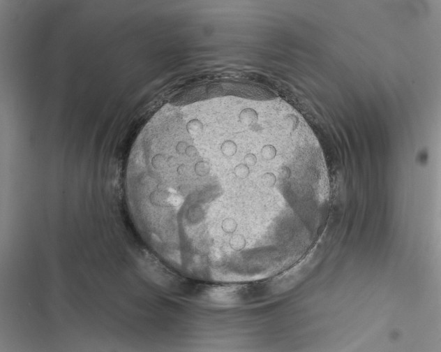 X0000116800178201001151130