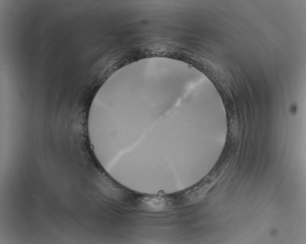 X0000116800181201001151130