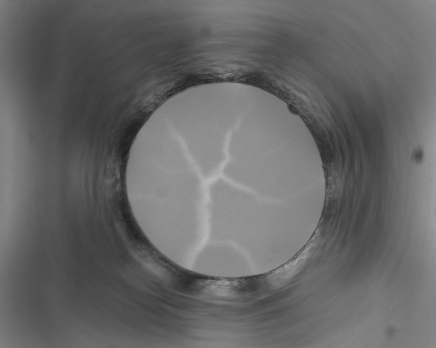 X0000116800182201001151130