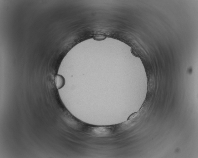 X0000116800183201001151130