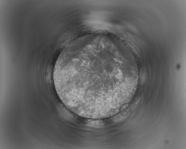 X0000116800185201001151130