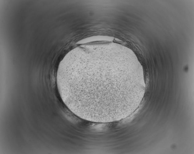 X0000116800186201001151130