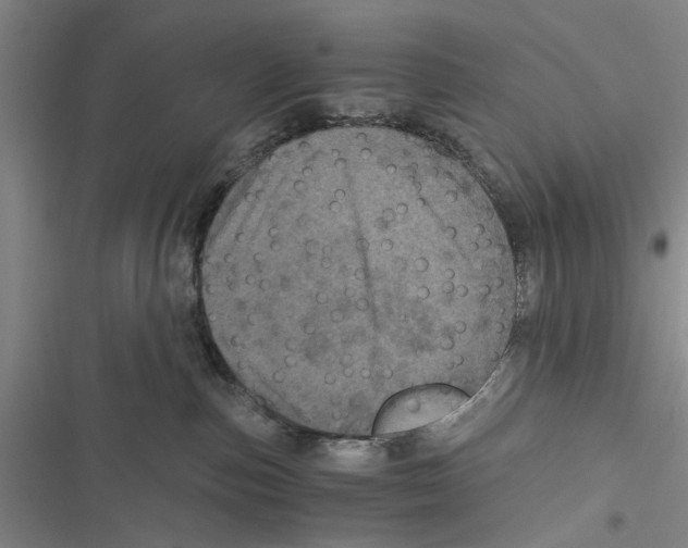 X0000116800187201001151130