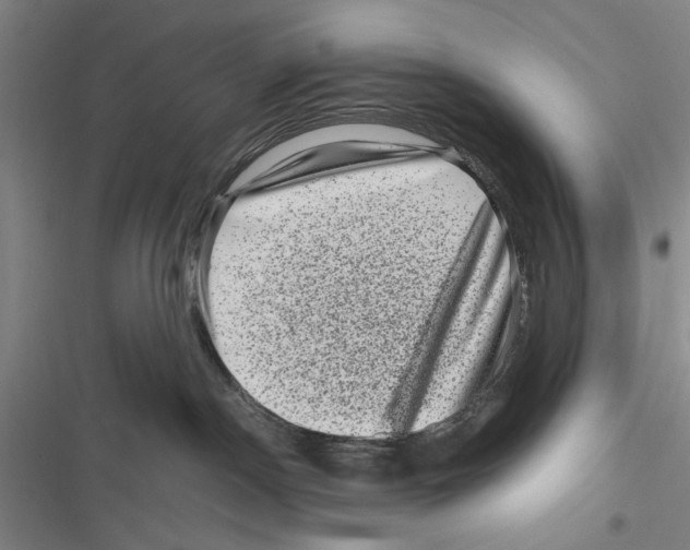 X0000116800190201001151130