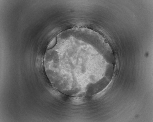 X0000116800191201001151130