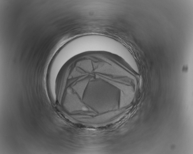 X0000116800195201001151130