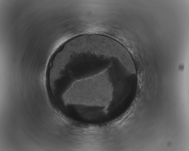 X0000116800196201001151130