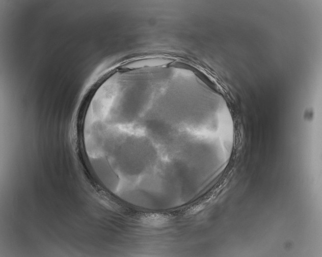 X0000116800198201001151130