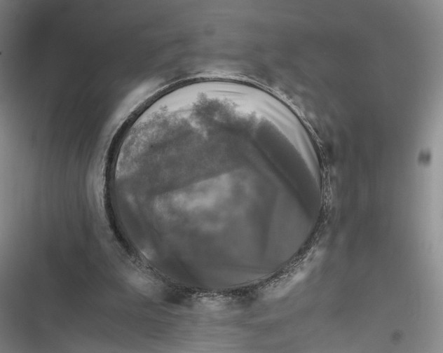 X0000116800199201001151130