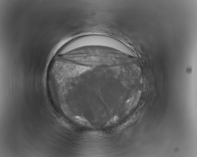 X0000116800200201001151130