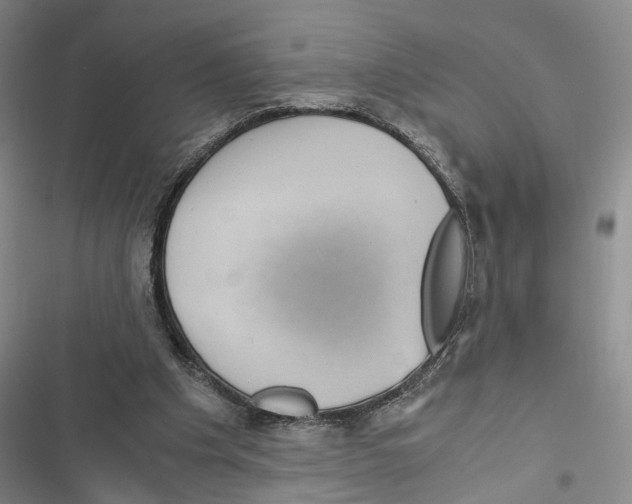 X0000116800201201001151130