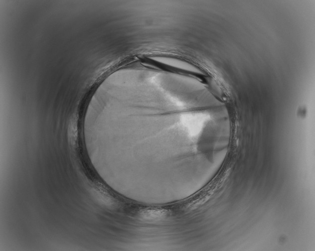 X0000116800202201001151130