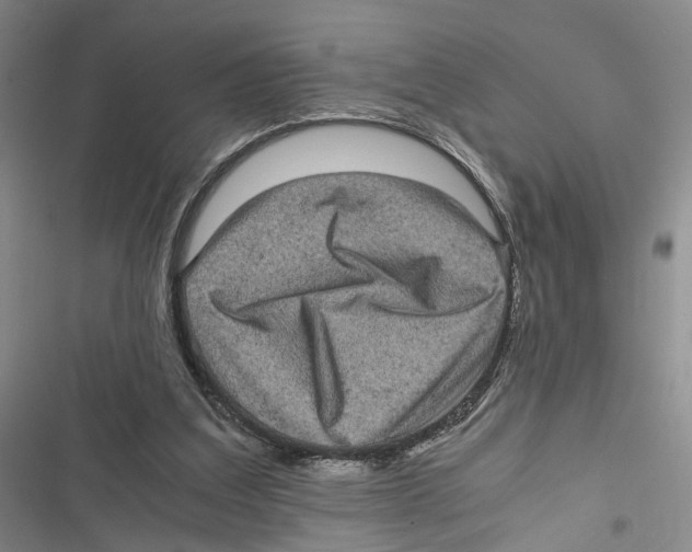 X0000116800203201001151130