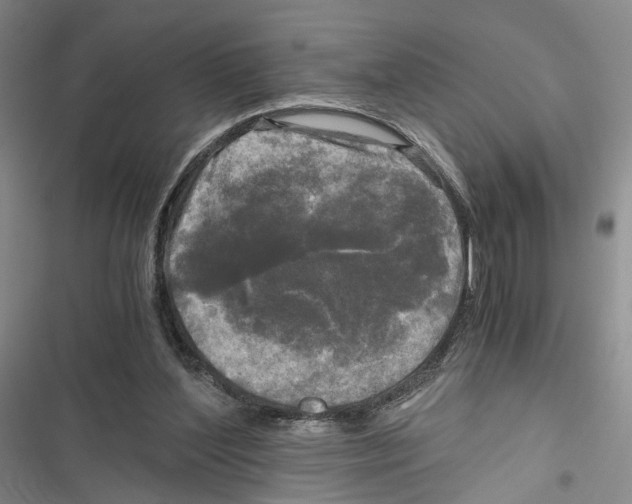 X0000116800204201001151130