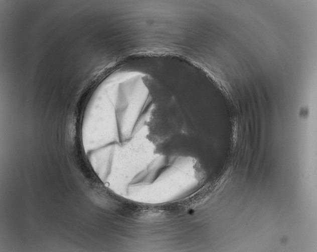 X0000116800206201001151130
